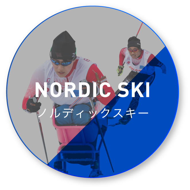ノルディックスキー